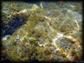 DSC02457 - retouche 1
